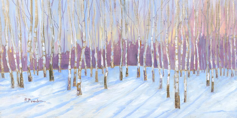 Winter White Birch Grove Oil art print by Paul Brent for $57.95 CAD