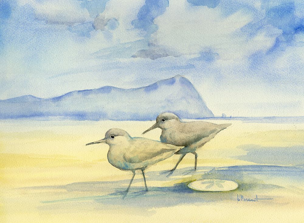 Western Sandpipers with Sand Dollar art print by Paul Brent for $57.95 CAD