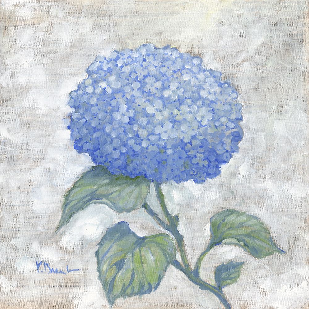 Garden Glory - Hydrangea Single I art print by Paul Brent for $57.95 CAD