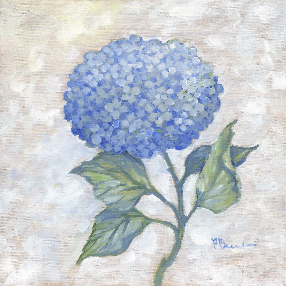 Garden Glory - Hydrangea Single II art print by Paul Brent for $57.95 CAD