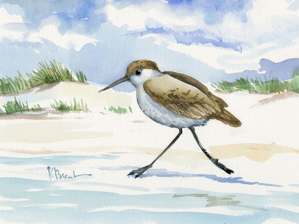 Inlet Beach Sandpiper - Running art print by Paul Brent for $57.95 CAD