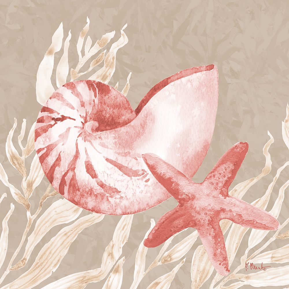 Tampico Shells I - Peach art print by Paul Brent for $57.95 CAD
