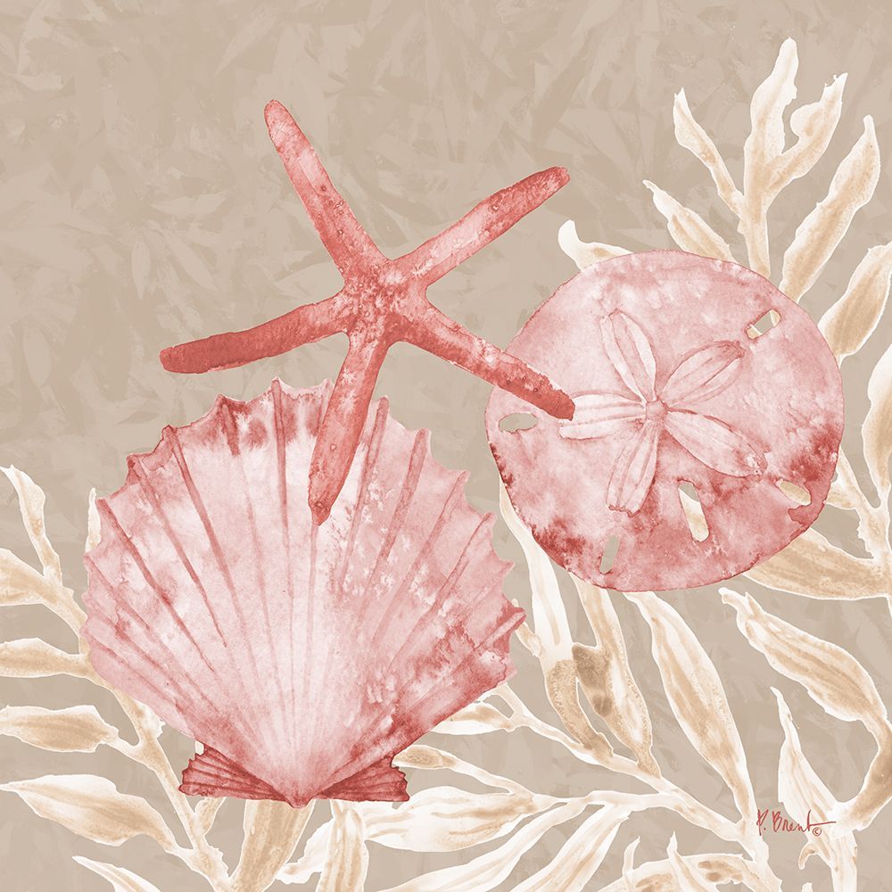 Tampico Shells II - Peach art print by Paul Brent for $57.95 CAD