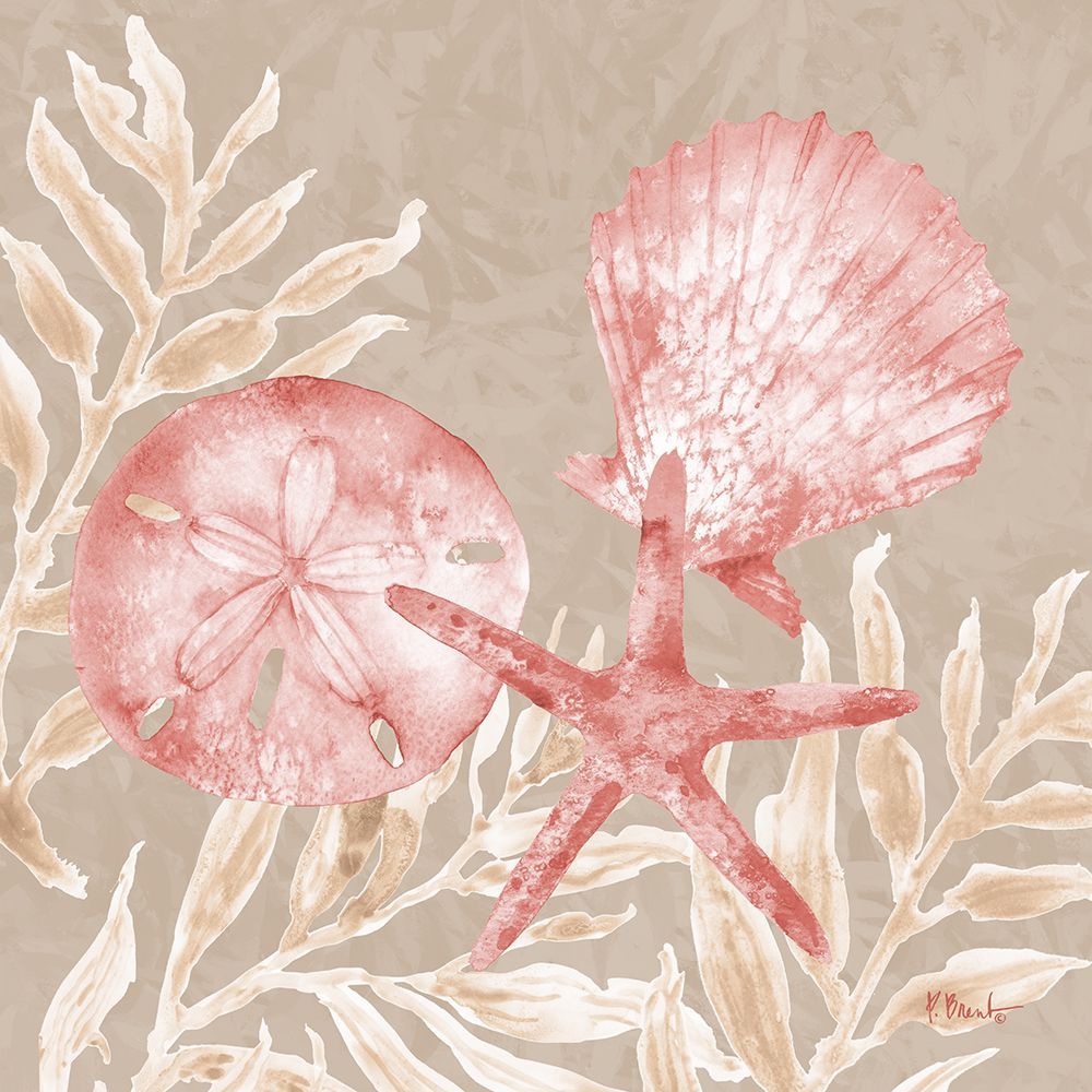 Tampico Shells III - Peach art print by Paul Brent for $57.95 CAD