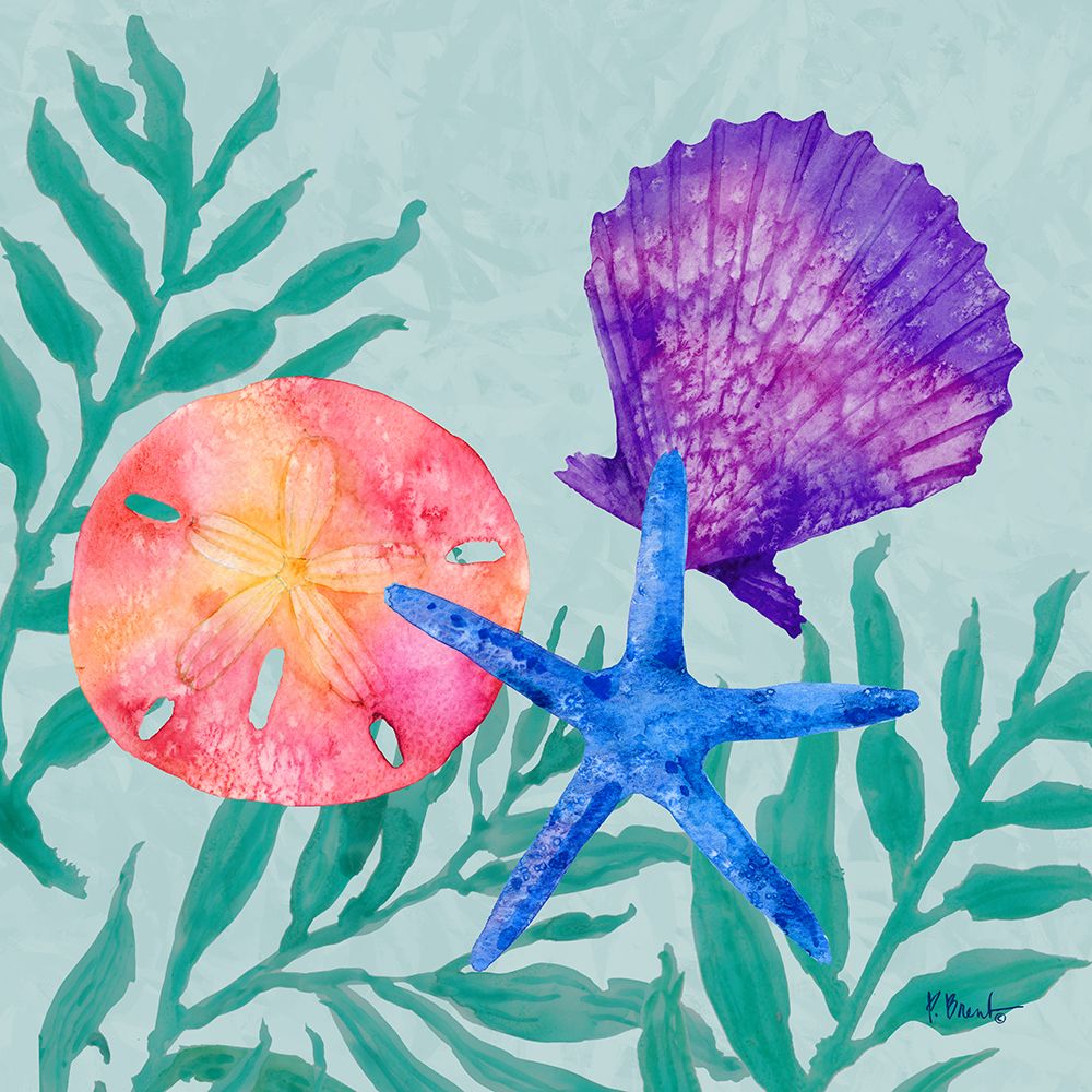 Tampico Shells III art print by Paul Brent for $57.95 CAD