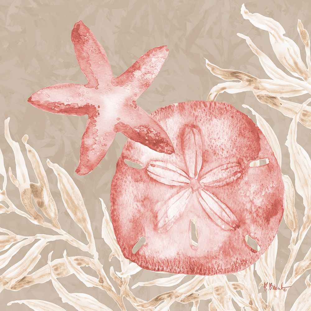 Tampico Shells IV - Peach art print by Paul Brent for $57.95 CAD