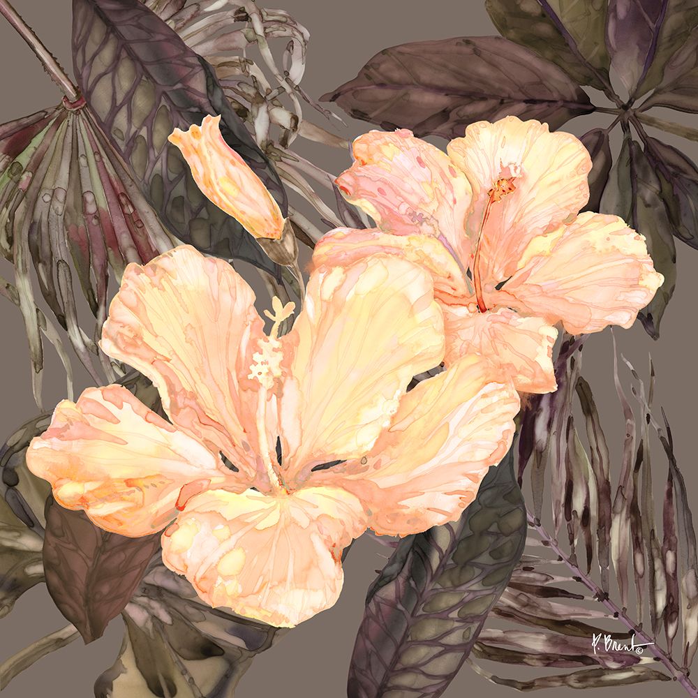 Hibiscus Bunch I - Peach art print by Paul Brent for $57.95 CAD
