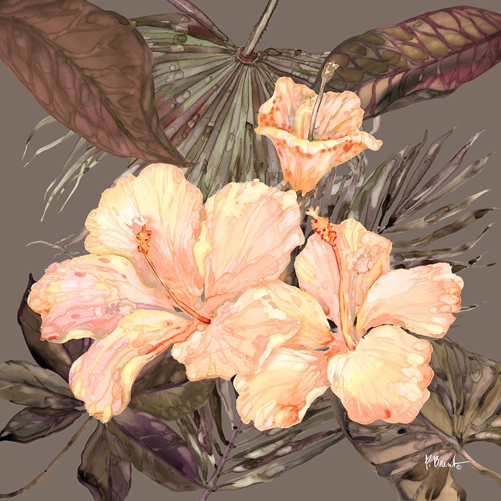 Hibiscus Bunch II - Peach art print by Paul Brent for $57.95 CAD