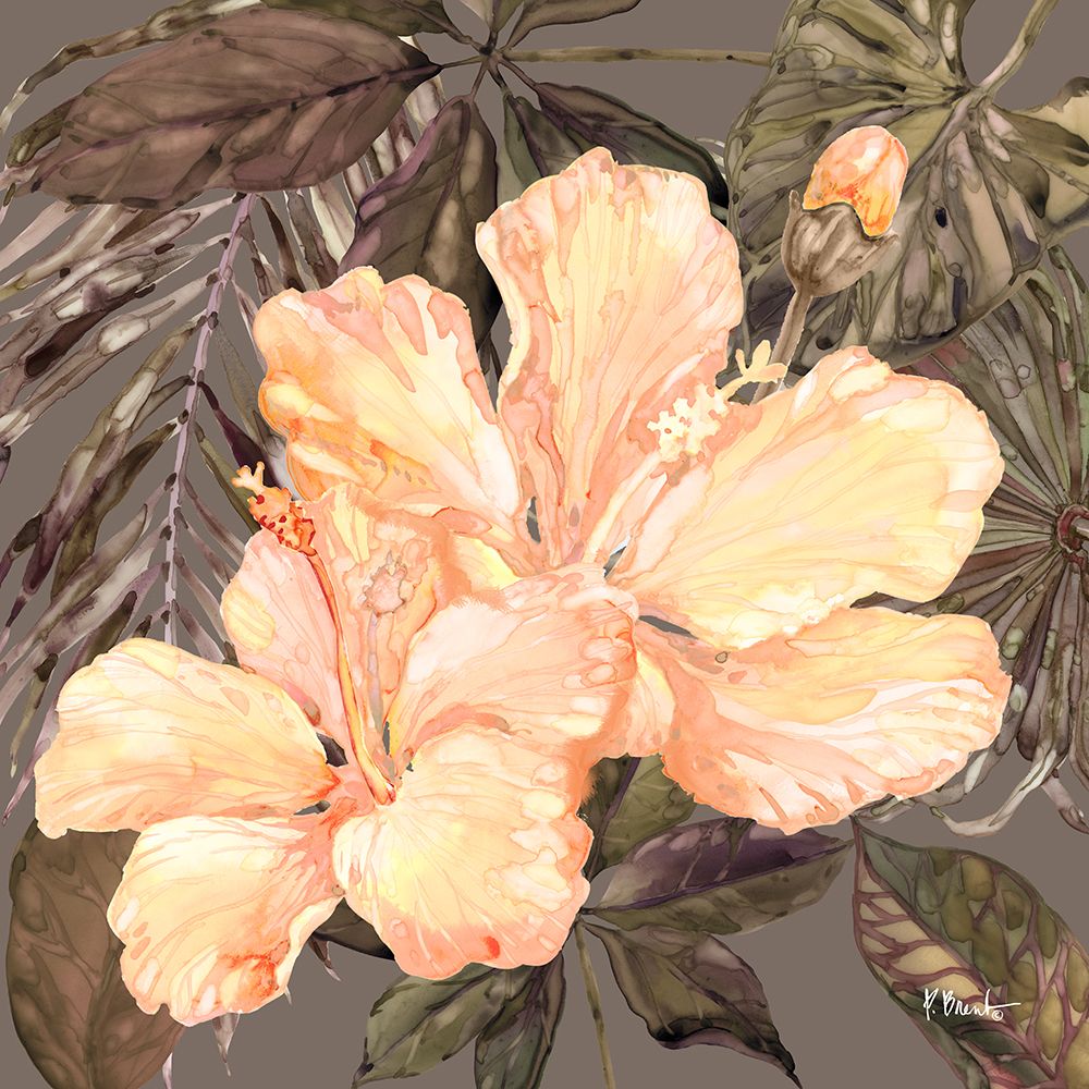 Hibiscus Bunch III - Peach art print by Paul Brent for $57.95 CAD