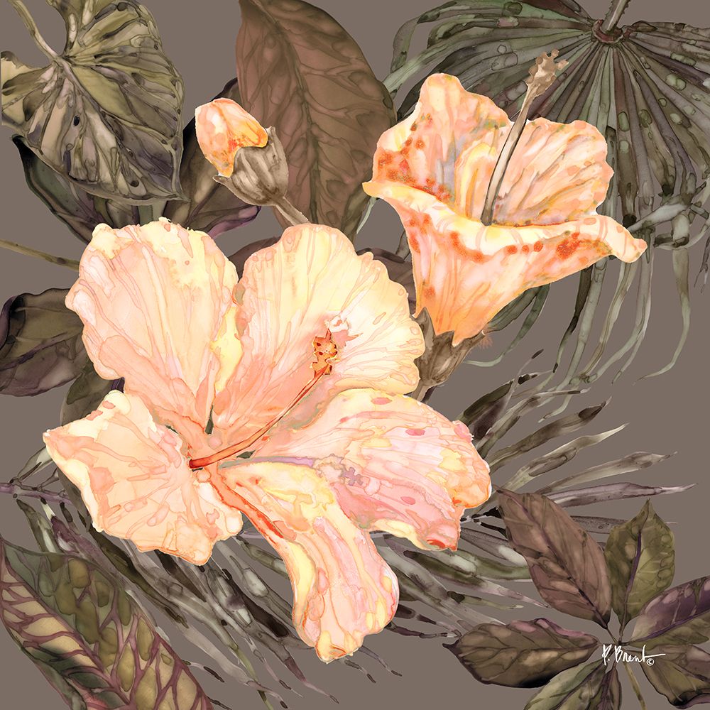 Hibiscus Bunch IV - Peach art print by Paul Brent for $57.95 CAD
