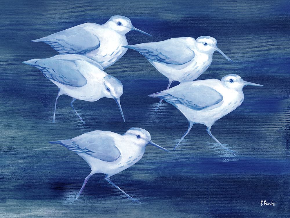 Sandpiper Spray Horizontal I art print by Paul Brent for $57.95 CAD