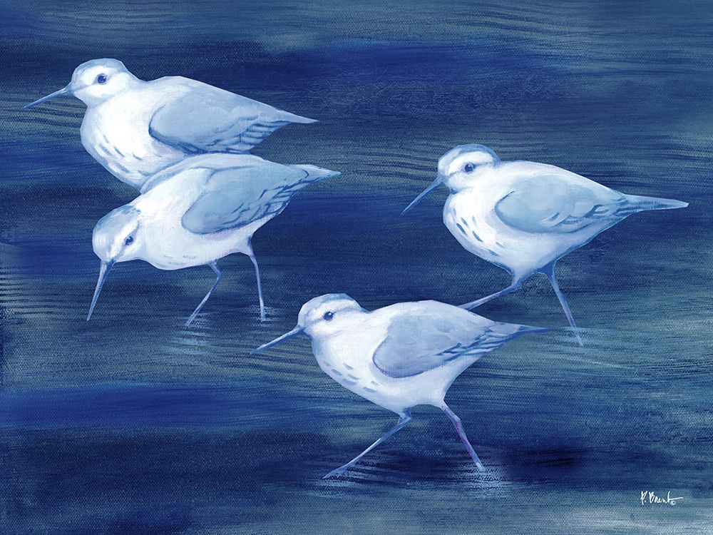 Sandpiper Spray Horizontal II art print by Paul Brent for $57.95 CAD