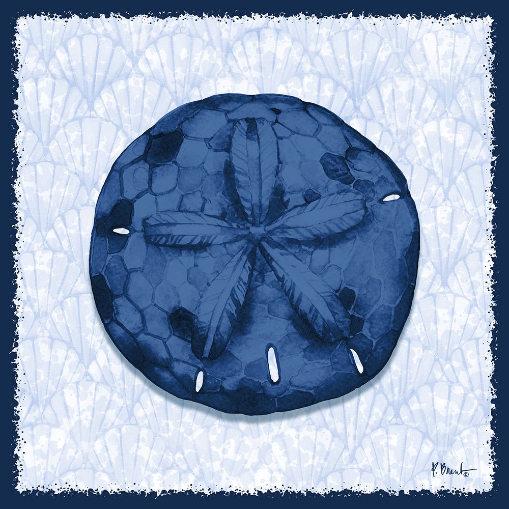 Onslow Shell III art print by Paul Brent for $57.95 CAD
