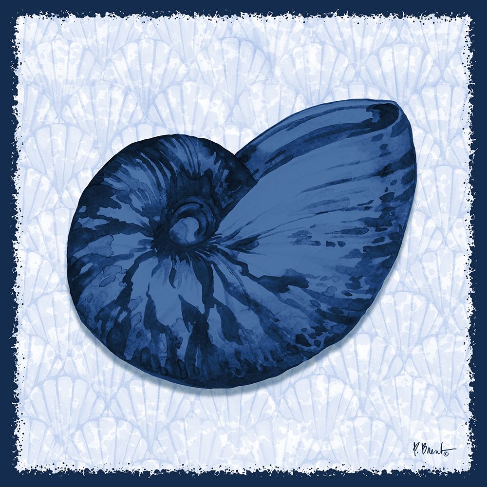 Onslow Shell IV art print by Paul Brent for $57.95 CAD