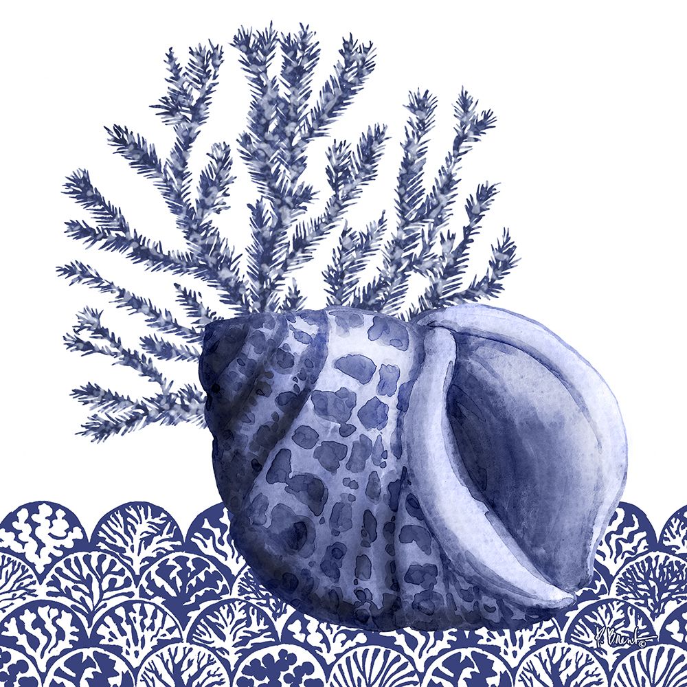 Shadow Shell I art print by Paul Brent for $57.95 CAD