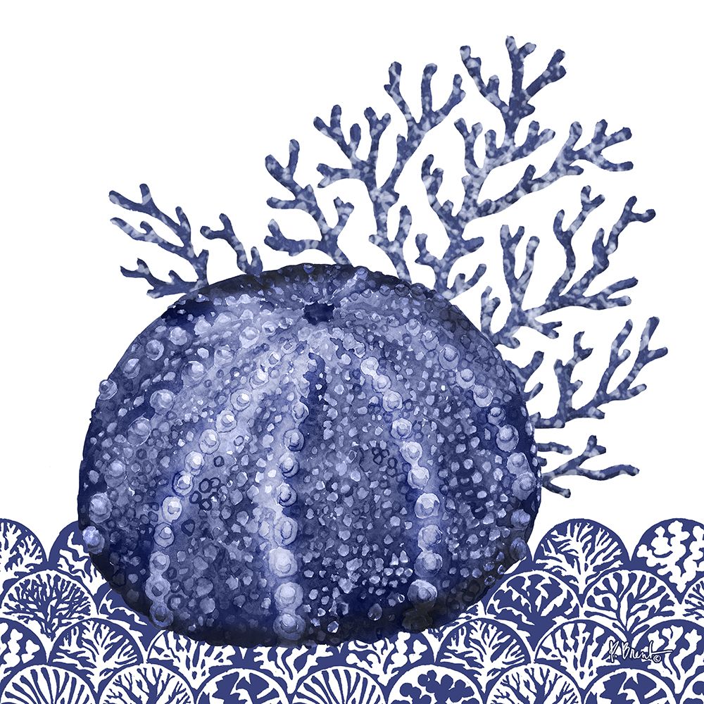 Shadow Shell II art print by Paul Brent for $57.95 CAD