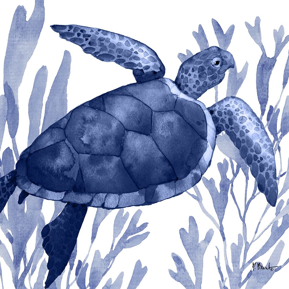 Marine Life I art print by Paul Brent for $57.95 CAD
