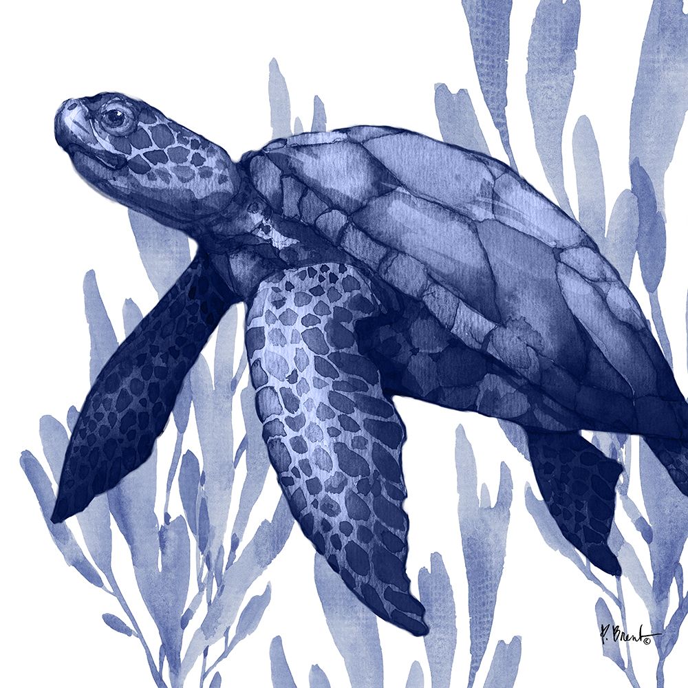 Marine Life IV art print by Paul Brent for $57.95 CAD