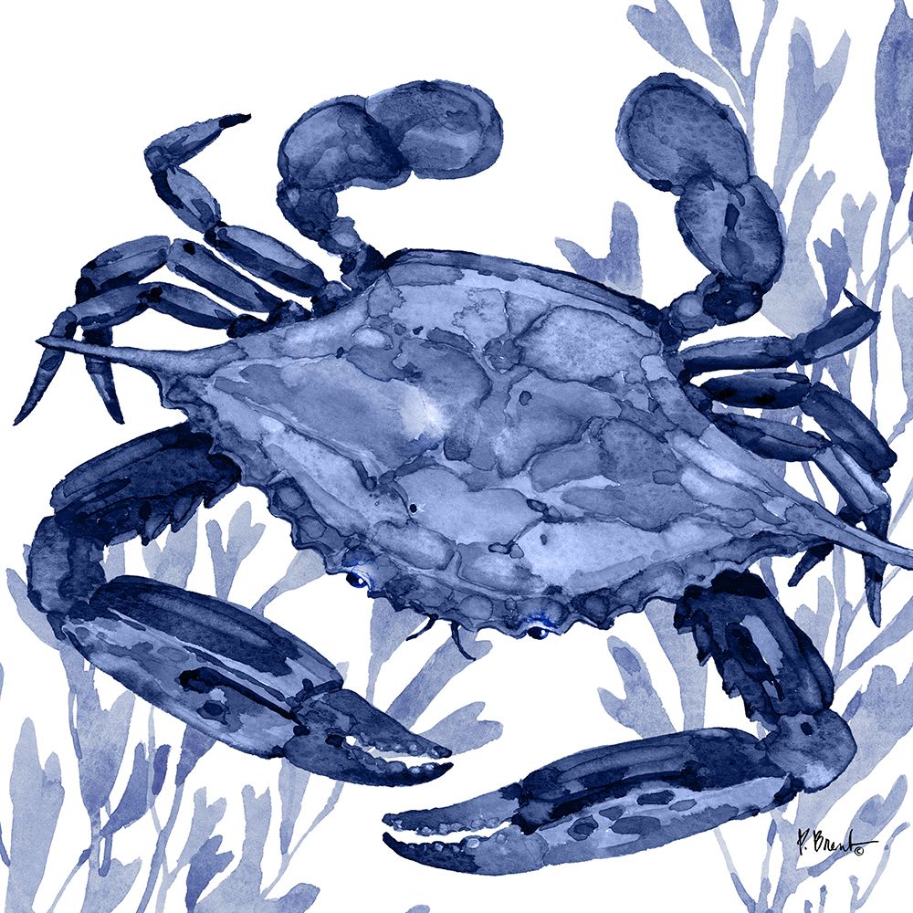 Marine Life VI art print by Paul Brent for $57.95 CAD