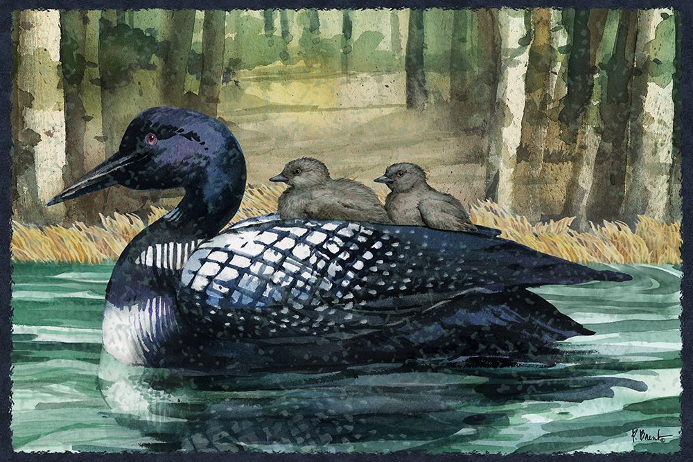Loon Pond Horizontal II - Babies art print by Paul Brent for $57.95 CAD