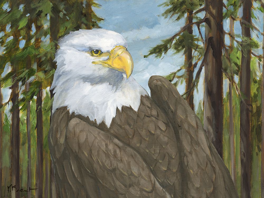 Eagles View Horizontal art print by Paul Brent for $57.95 CAD