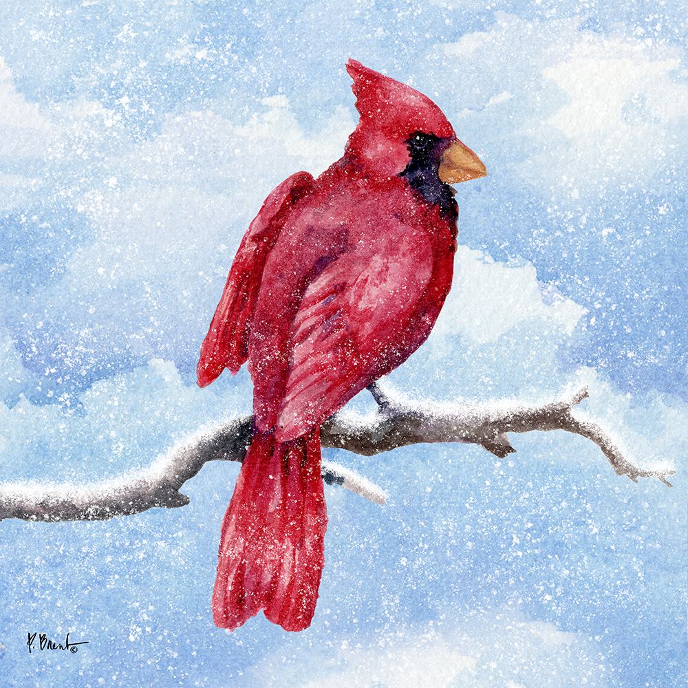 Cardinal Flurry I art print by Paul Brent for $57.95 CAD