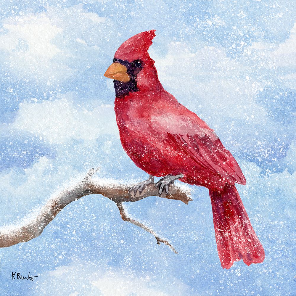 Cardinal Flurry II art print by Paul Brent for $57.95 CAD