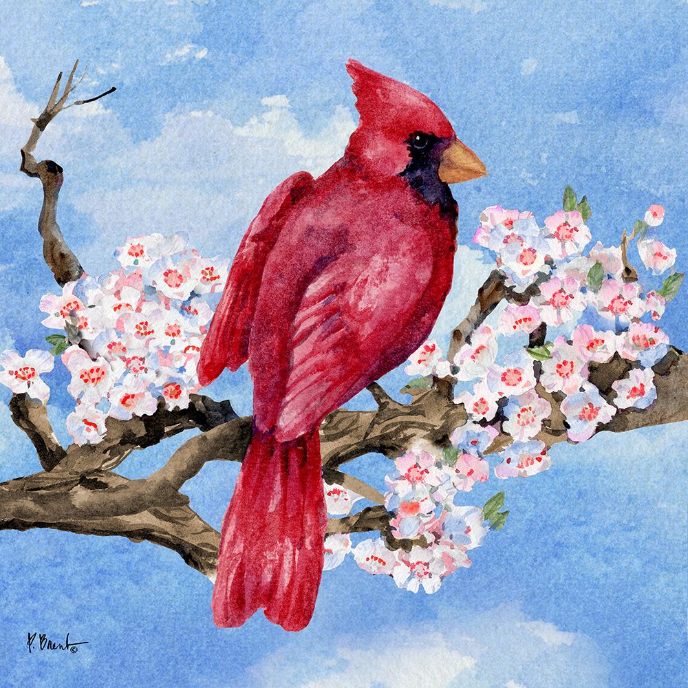 Spring Cardinal I art print by Paul Brent for $57.95 CAD