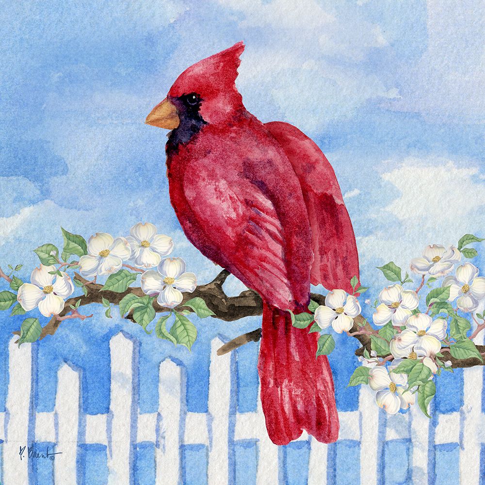 Spring Cardinal II art print by Paul Brent for $57.95 CAD