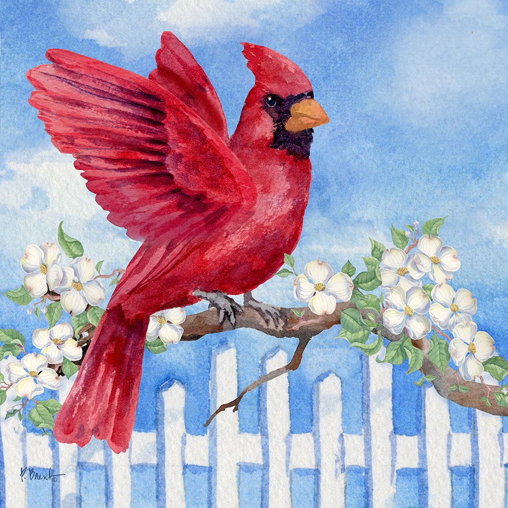 Spring Cardinal III art print by Paul Brent for $57.95 CAD