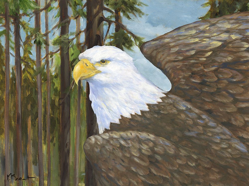 Eagles View Horizontal II art print by Paul Brent for $57.95 CAD