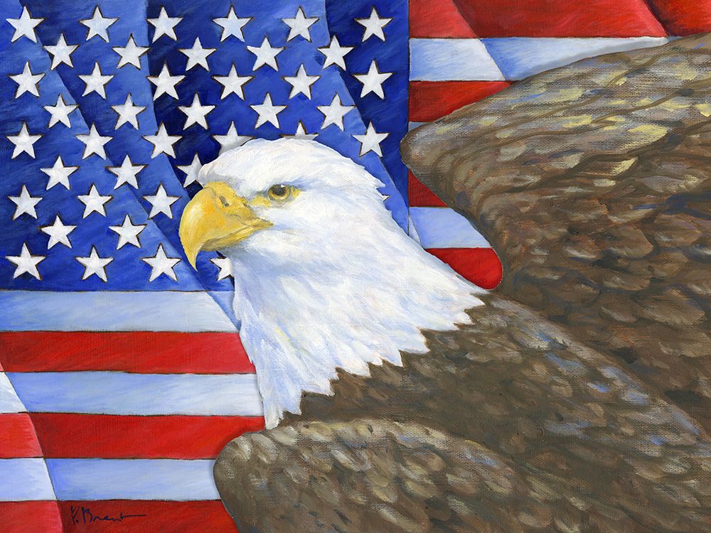 Eagles View Flag Horizontal II art print by Paul Brent for $57.95 CAD