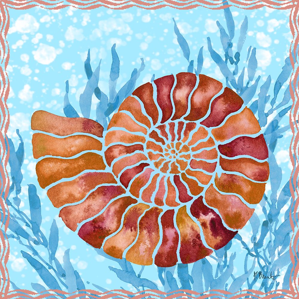 Ammonite Shell III art print by Paul Brent for $57.95 CAD