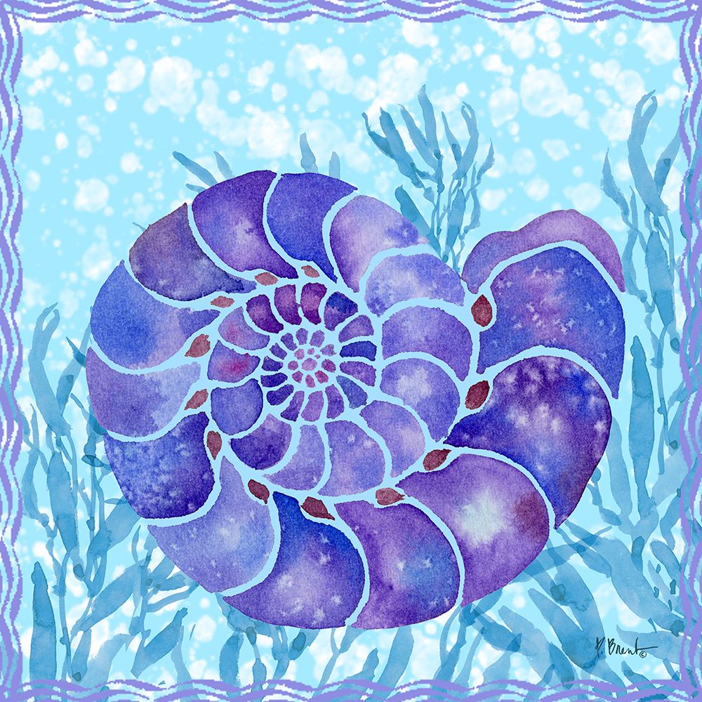 Ammonite Shell IV art print by Paul Brent for $57.95 CAD