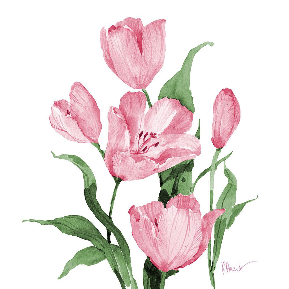 Province Tulips art print by Paul Brent for $57.95 CAD