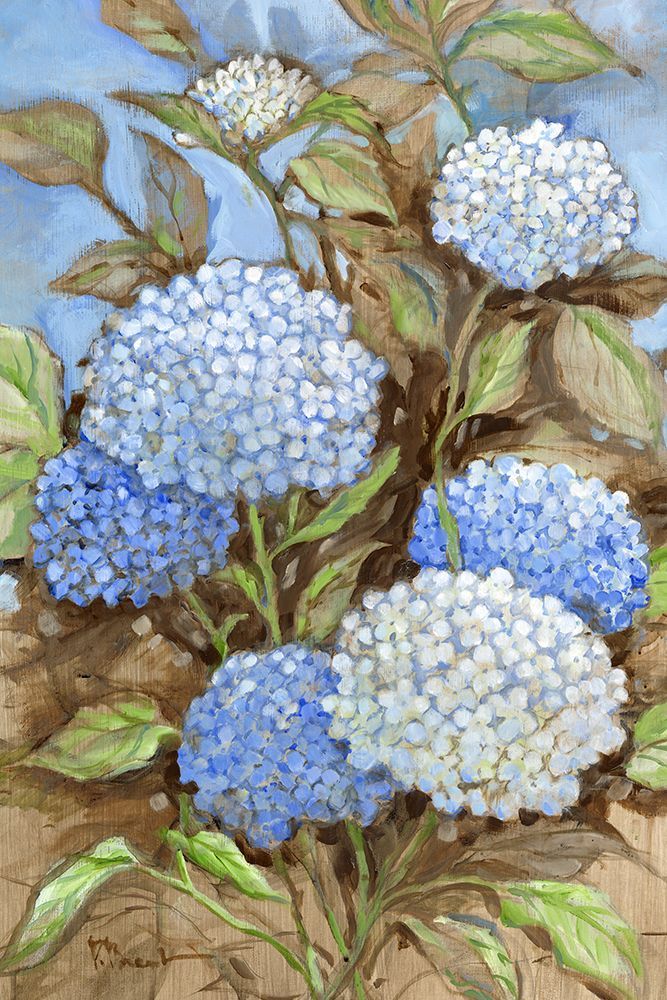 Impressions of Hydrangeas VI art print by Paul Brent for $57.95 CAD