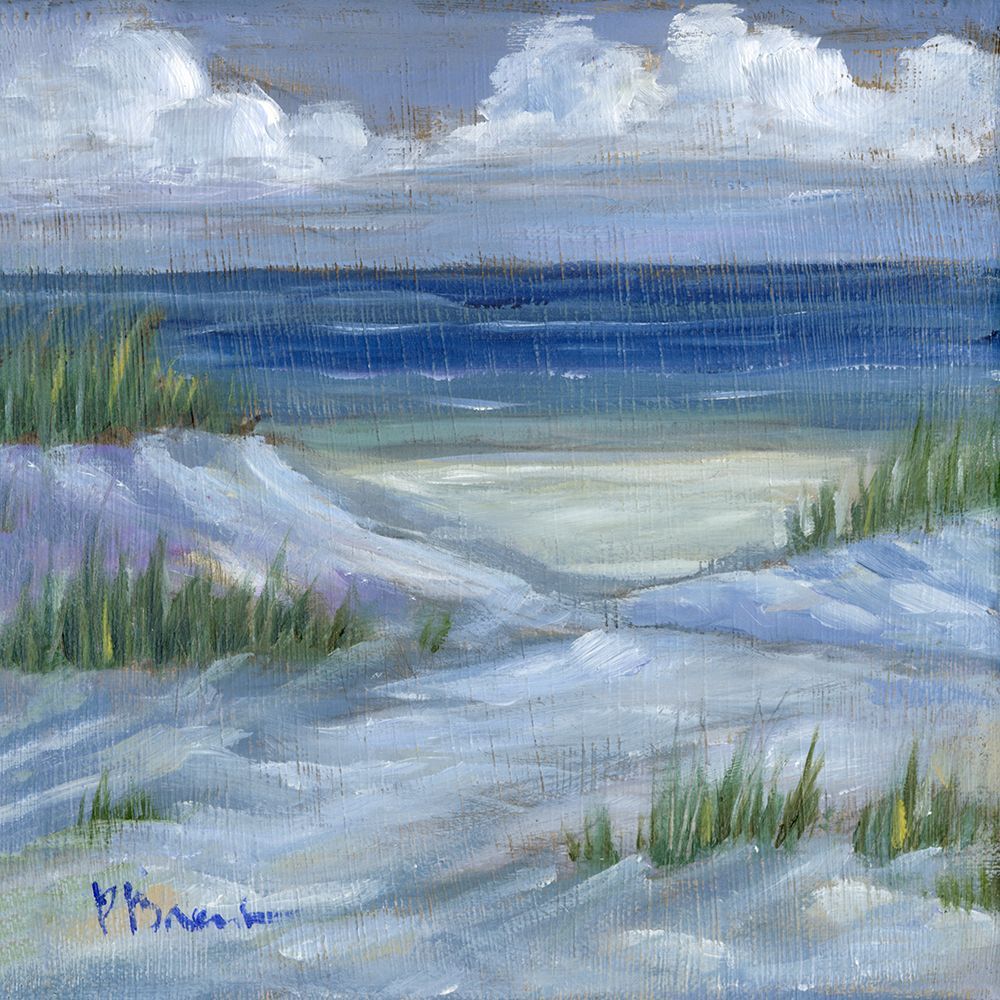 Crooked Island Morning Dunes art print by Paul Brent for $57.95 CAD