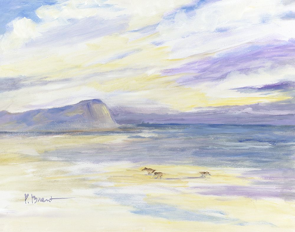 Sea Mist Sandpipers at Tillamook Head art print by Paul Brent for $57.95 CAD