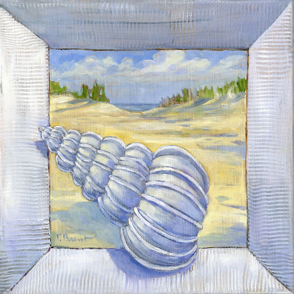 Clearwater Sealife - Wentletrap art print by Paul Brent for $57.95 CAD