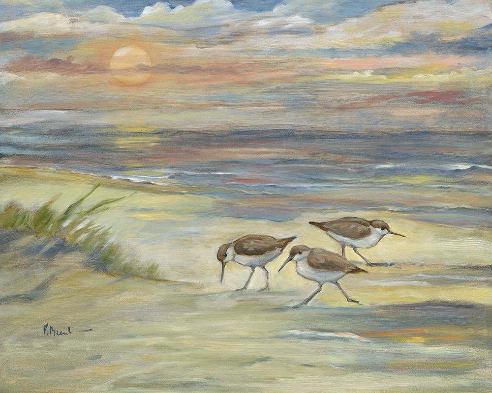 Sunset Sandpipers art print by Paul Brent for $57.95 CAD