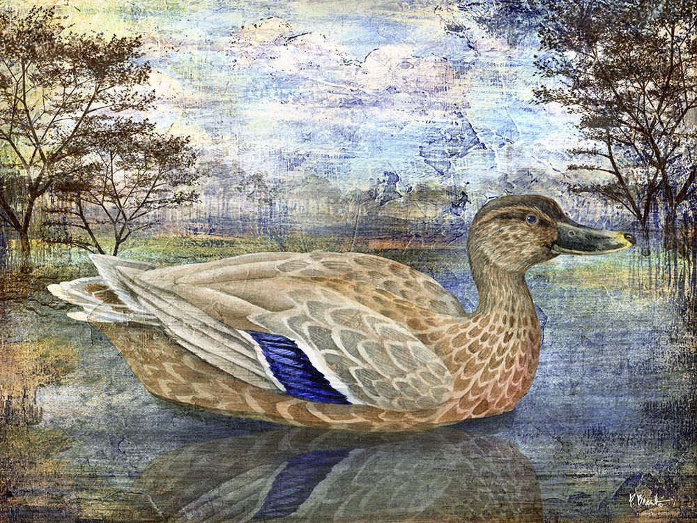 Female Mallard Pond Horizontal art print by Paul Brent for $57.95 CAD