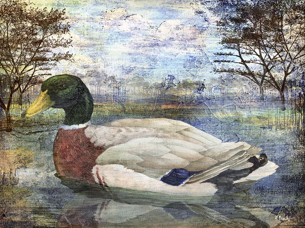 Male Mallard Pond Horizontal art print by Paul Brent for $57.95 CAD