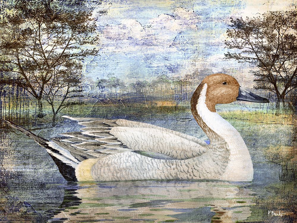 Pintail Pond Horizontal art print by Paul Brent for $57.95 CAD