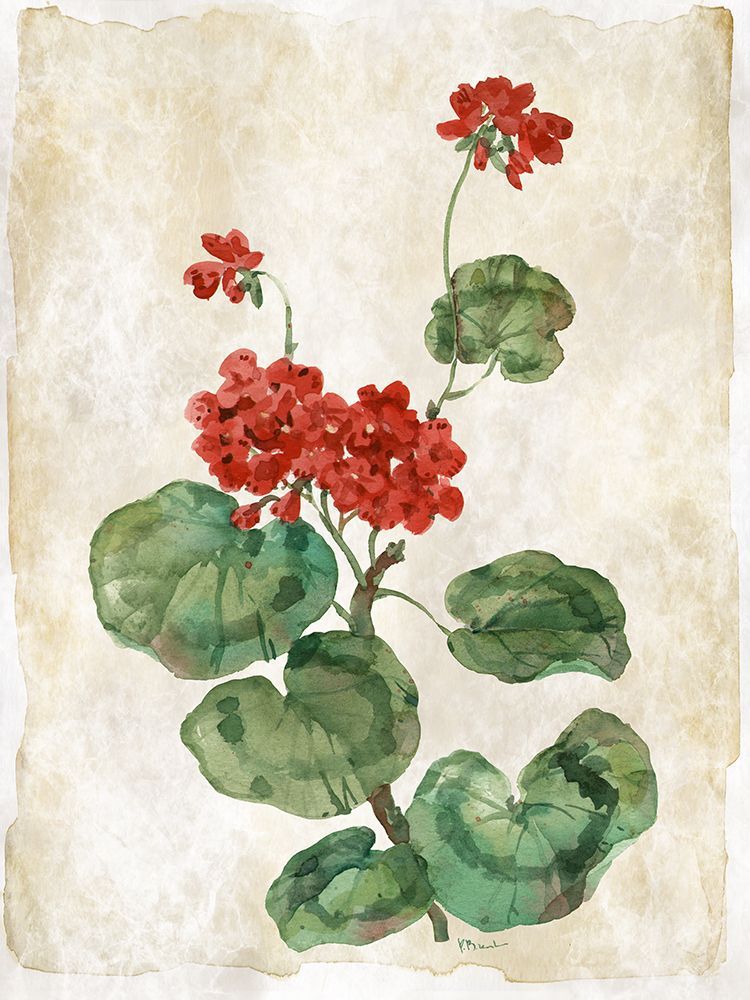 Floral Journal V art print by Paul Brent for $57.95 CAD