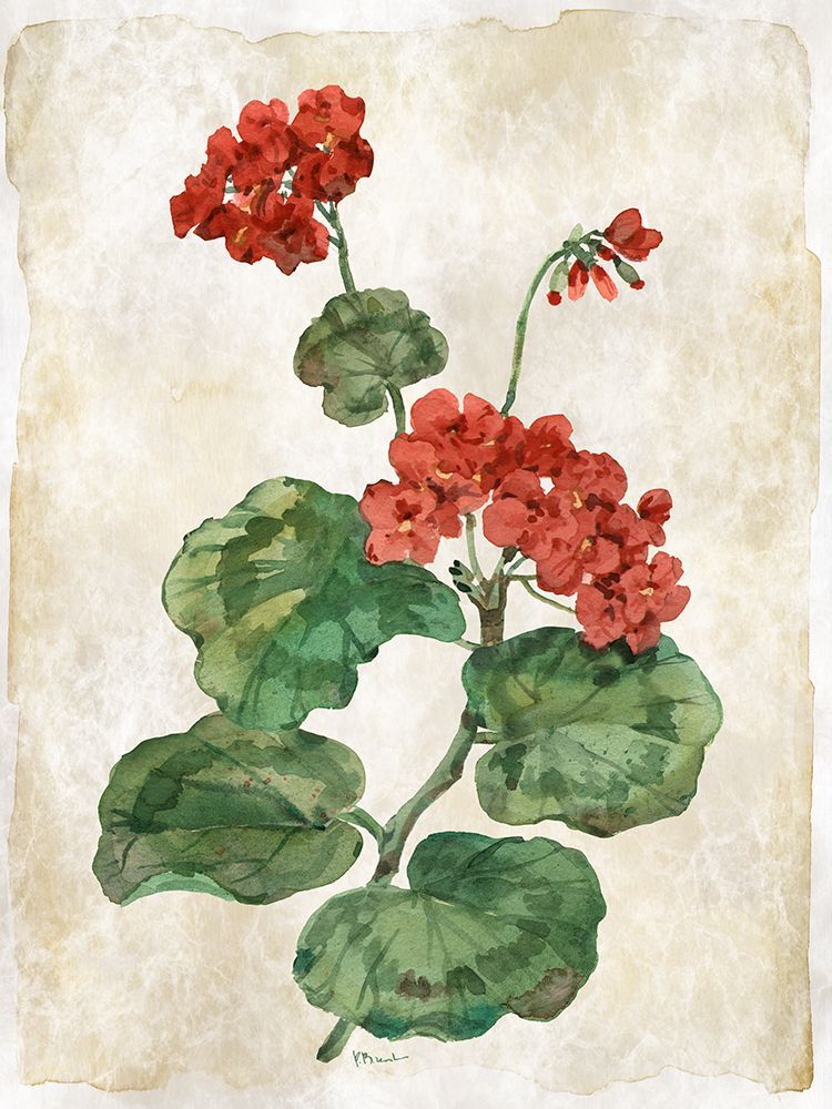 Floral Journal VI art print by Paul Brent for $57.95 CAD