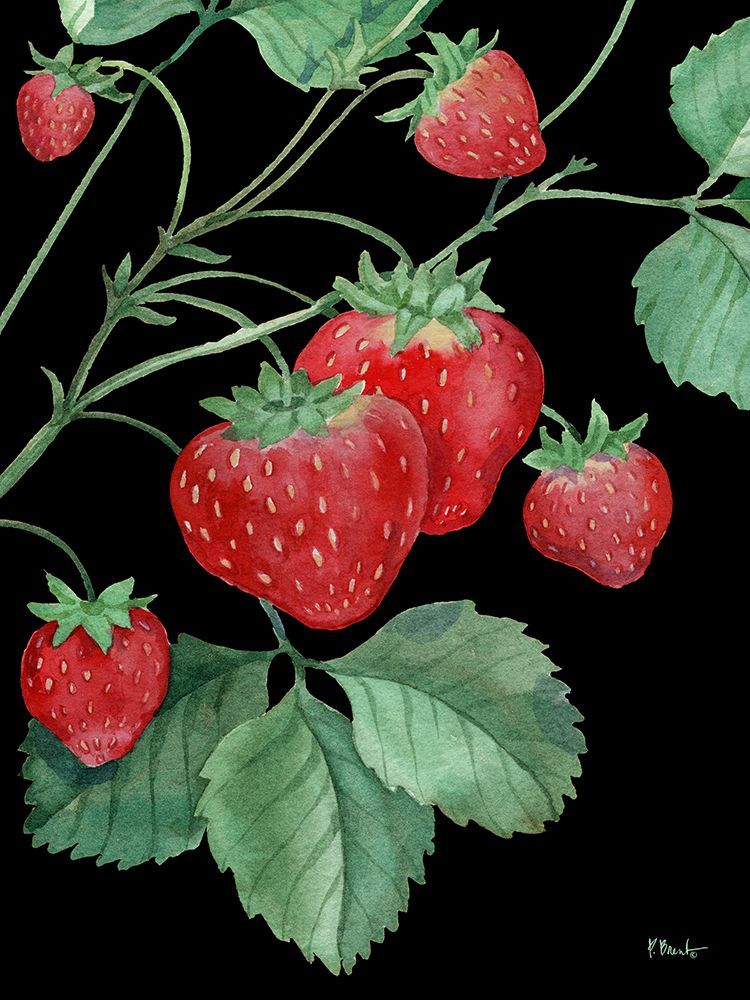 Ruby Cherries Vertical art print by Paul Brent for $57.95 CAD