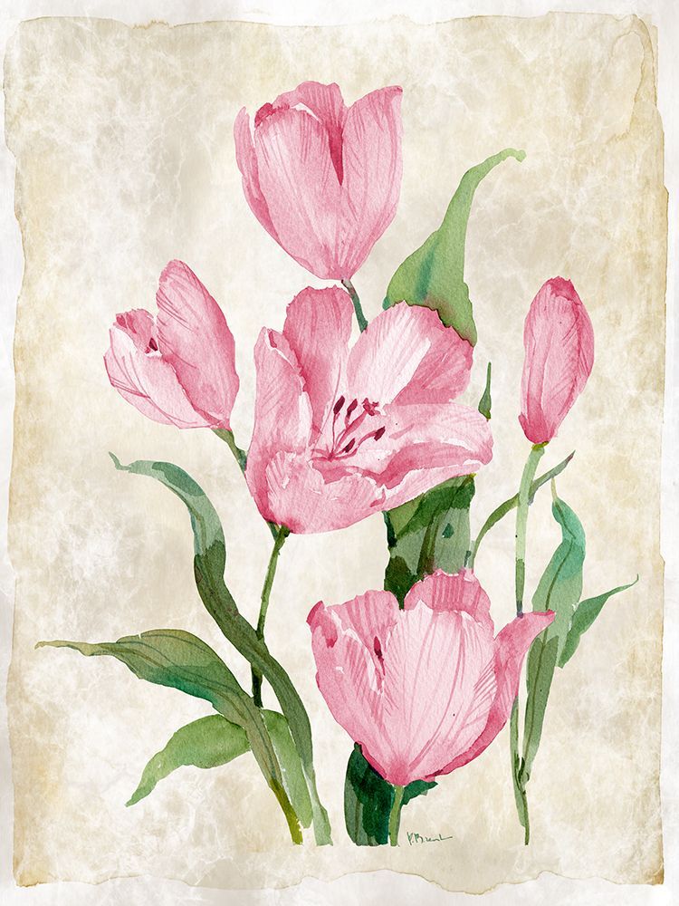 Floral Journal VII art print by Paul Brent for $57.95 CAD