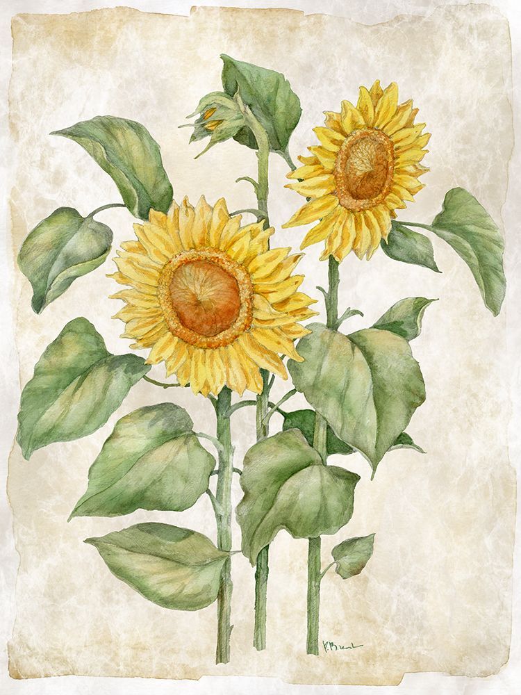 Floral Journal IX art print by Paul Brent for $57.95 CAD
