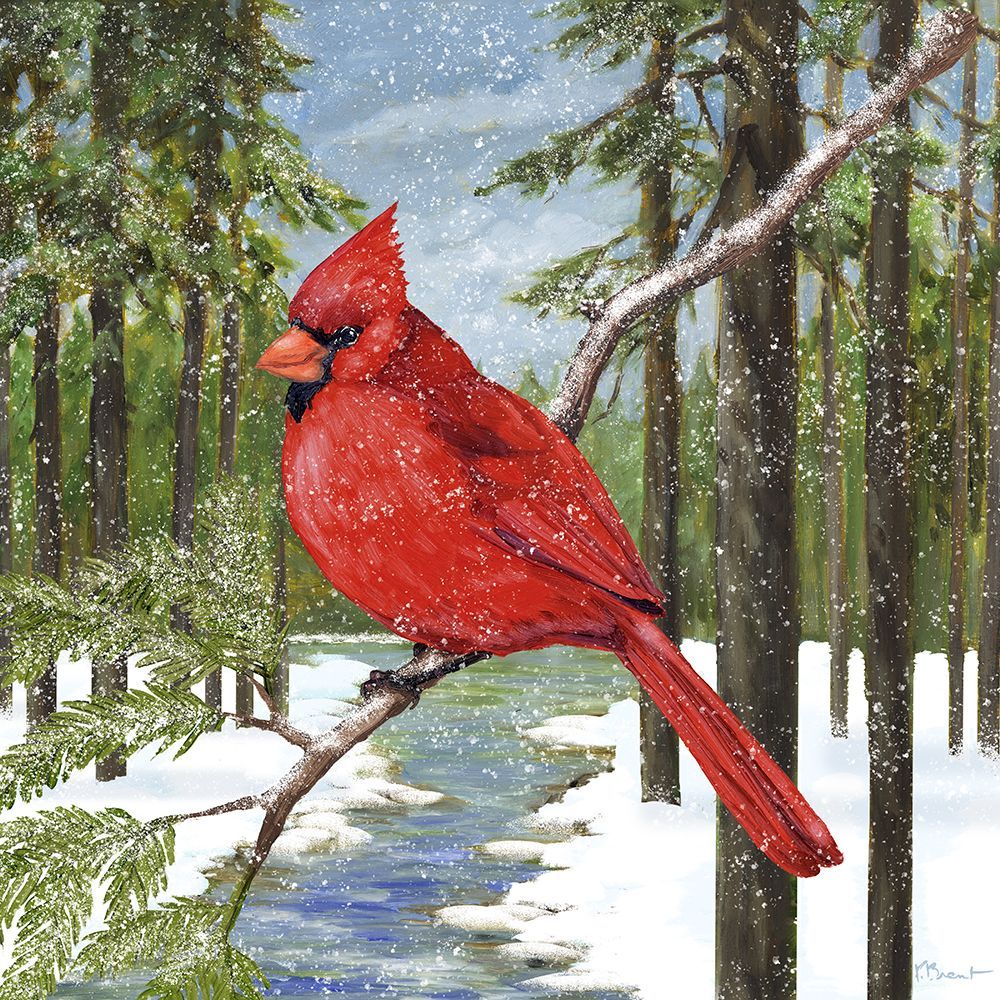 Snowbank Forest Cardinal art print by Paul Brent for $57.95 CAD