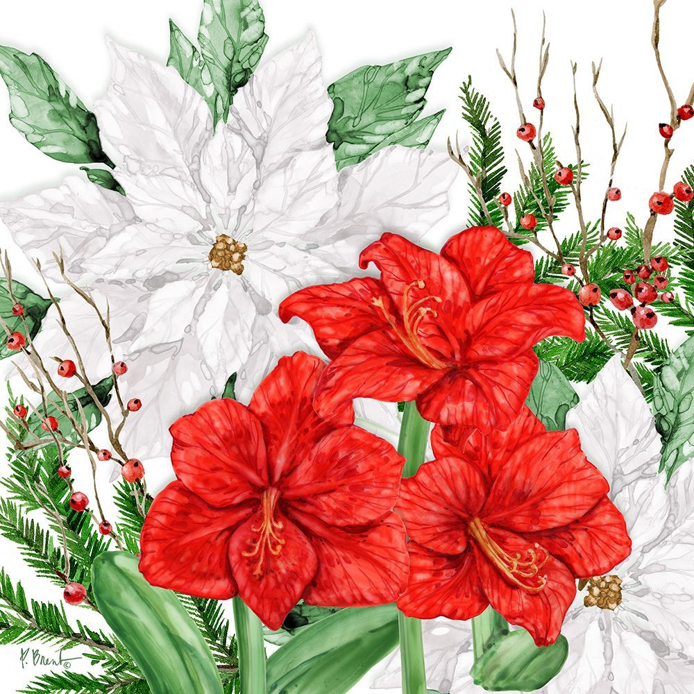Amaryllis and Poinsettias art print by Paul Brent for $57.95 CAD
